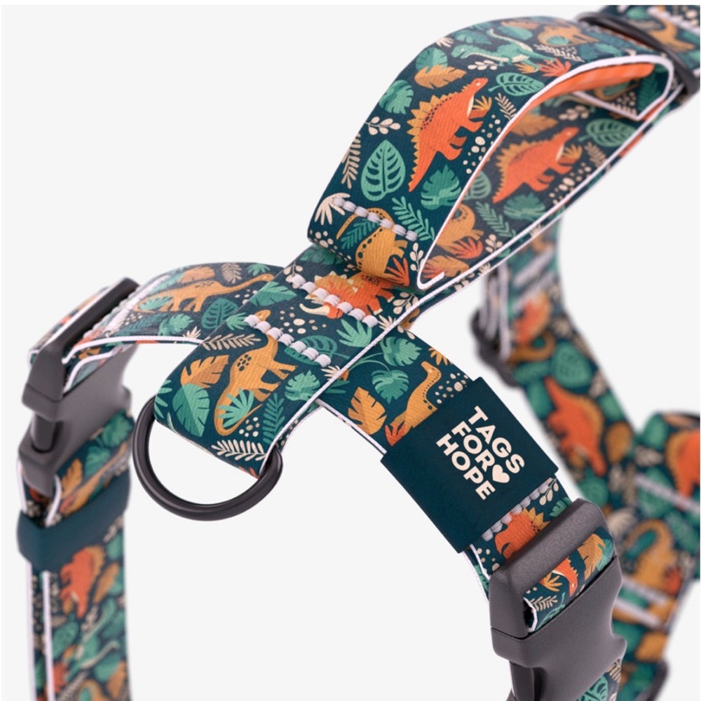 Dinosaur Dog Harness